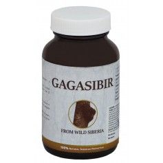 GAGASIBIR 13G