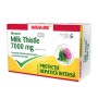 Silymarin Milk Thistle MAX 7000 mg 60 capsule