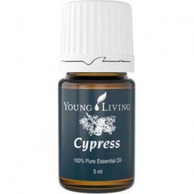 Ulei Esential Cypress (Chiparos) Young Living - 5 ML