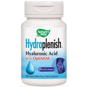 Hydraplenish Plus Msm, 60cps Secom