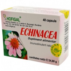 Echinacea extract concentrat 40CPS (capsule x0,5g)