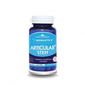 Articular Stem, 30 capsule Herbagetica