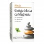 Ginkgo Biloba cu Magneziu, 60 comprimate Alevia
