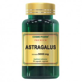 Astragalus Extract 450mg, echivalent a 9000mg 30 capsule
