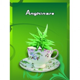 Ceai de Anghinare, 50g Cyani