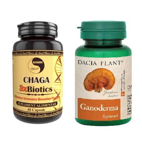 Chaga 3xBiotics 40 capsule + Ganoderma, 60 comprimate