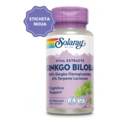 Ginkgo Biloba 120 mg Secom - 60 cps