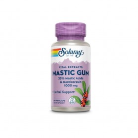 Mastic Gum, 500 mg, 45 capsule Secom