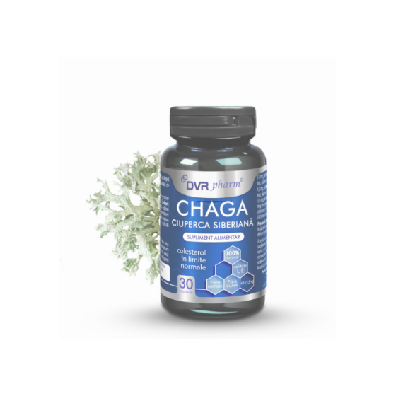 Chaga, Ciuperca Siberiană, 30 de capsule