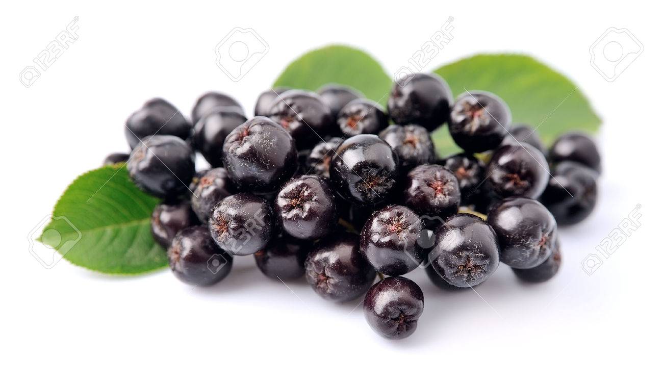 aronia-plantum-ro
